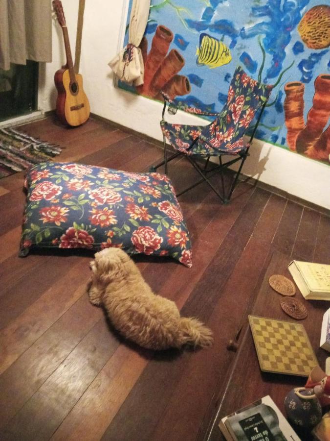 Apartament Bed&Potato Studio Ilha Grande - Casa Inteira Para Ate 4 Pessoas Zewnętrze zdjęcie